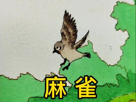 《麻雀》,今天整点抽象的 #手绘#课文插图#小东画课文