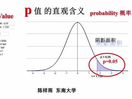 通俗统计学原理入门10 p值的含义 p value #统计学入门 #通俗统计学 #p值 #p-value