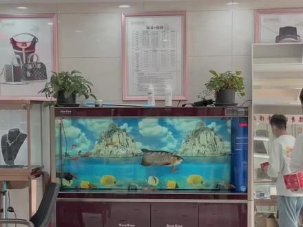 #我要上热门 #香烟鉴定真伪#欢迎您在评论区交流