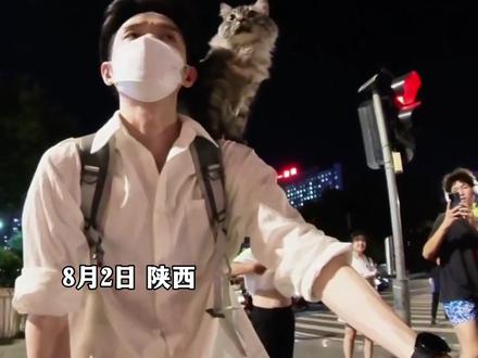8月2日,陕西,网友分享自己的小猫站肩头,引起路人关注和记录。#猫咪的迷惑行为 #动物成精 #萌猫趣事 #萌猫日常 #小猫咪三分迷茫七分呆滞