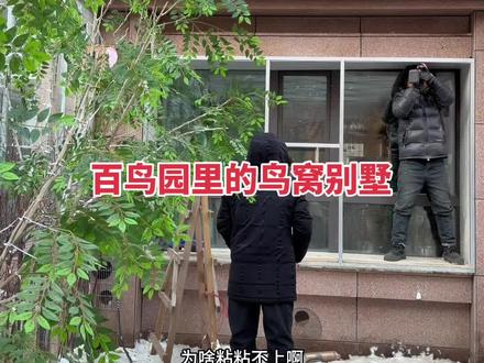 百鸟园里的小鸟别墅即将入住小鸟 #百鸟园 #养鸟 #制作过程 #冬天室外养鸟