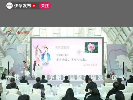 若为热爱,便所向披靡~~~娇龙月季