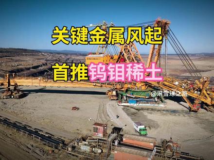 关键金属风起,首推钨钼稀土#有色金属 #钨价 #钼价 #贵金属 #投资