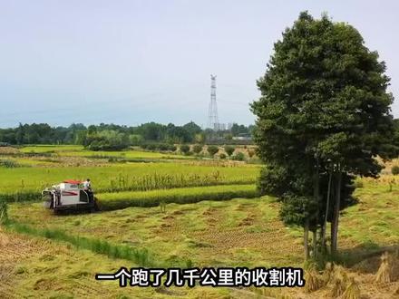 收割机师傅逃离湖北:三天见闻扯下农忙遮羞布 #热门话题#今日话题#今日话题每日更新 #今日分享 @DOU+上热门