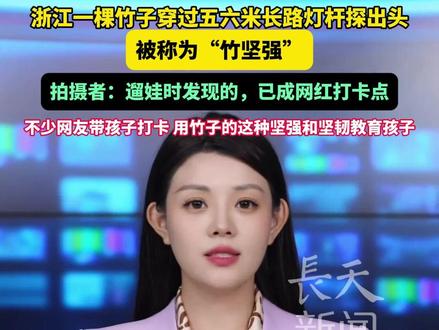 浙江一棵竹子穿过五六米长路灯杆探出头,被称为“竹坚强”,拍摄者:遛娃时发现的,已成网红打卡点,不少网友带孩子打卡,用竹子的这种坚强和坚韧教育孩子。#竹子 #遛娃 #打卡 #竹坚强 #浙江dou知道