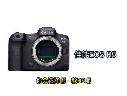 你会选择哪款R5呢?#索尼 #佳能 #摄影