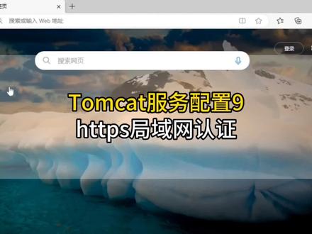 Tomcat配置https网络访问安全认证证书#程序员 #编程 #https #网络安全
