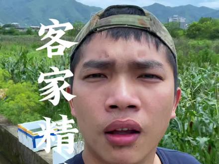 客家话,你都听过哪些#新农人计划 #我的乡村生活