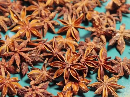 买八角,看清“直角”还是“钩角”,多亏老板提醒,别买到毒八角