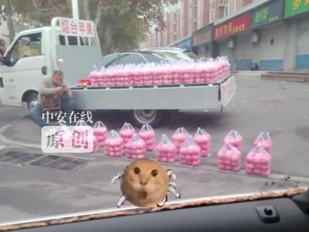 淄博卖苹果大哥回应走红,没当过兵,大家见谅 “摆这么好看就是为了多卖俩”#淄博卖苹果大哥是J人吧 #淄博卖苹果 #豆腐块苹果