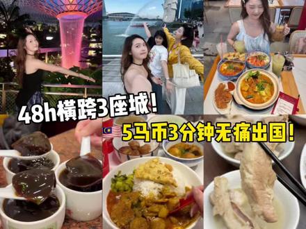 🇸🇬新加坡到🇲🇾新山48h美食攻略!免签速冲 #为城市美食打call #新加坡旅游 #马来西亚旅游 #抖音美食推荐官