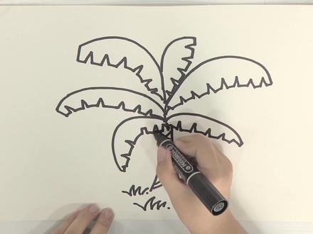 简笔画画香蕉树##简笔画 #零基础学画画 #画画 #美术 @DOU+小助手