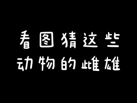 你猜我猜:看图猜这些动物的雌雄,不告诉你那些特征你能知道多少 #原创动画 #搞笑动画 #你猜我猜 #动物雌雄
