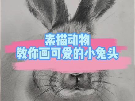 素描动物毛发质感表达之可爱兔头示范!#素描 #画画 #手绘 @抖音小助手