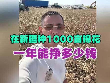 今天我给大家说一下,在新疆包地种1000亩棉花,一年能挣多少钱?#新疆#新疆棉花#游在新疆吃住在兵团
@新疆凌云哥【行走中国】
@新疆凌云哥【诗和远方】
@凌云哥【新疆是个好地方】
@凌云哥【大美新疆】