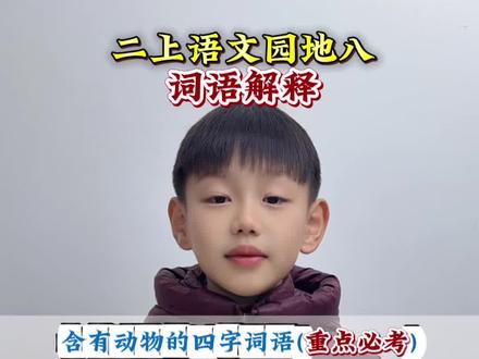 #二年级上册语文 语文园地八 含有动物的四字词语积累重点必考必会#知识分享 #小学语文 #每天学习一点点