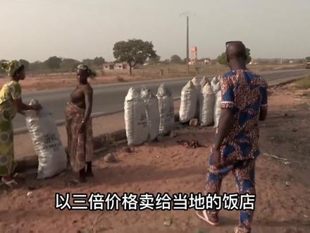 非洲的成功人士居然可以取三个老婆#纪录片 #非洲