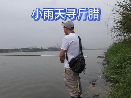 小雨寻斤腊#钓鱼 #户外钓鱼 #钓鱼技巧 #钓鱼人就是这么疯狂