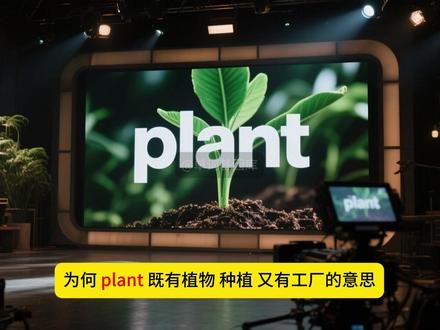 为何plant 即是植物 又是工厂 #单词基因库#考研英语#英语#英语词汇#高考英语