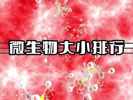 人类已知的微生物大小排行榜 #科普一下 #涨知识 #微观世界 #微生物