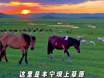 五一来一场草原的旅行#旅行 #五一去哪儿