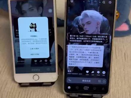 《皮皮小虾》带来下载猫箱免认证教程,沉浸式体验虚拟社交乐趣#猫箱#猫箱下载链接#猫箱旧版本#猫箱app