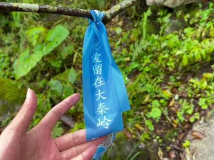 冰晶顶vlog纯享版#户外徒步登山 #秦岭 #爬山🧗 #森林氧吧#冰晶顶