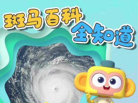 台风带来的除了灾难还有什么?#斑马百科 #台风