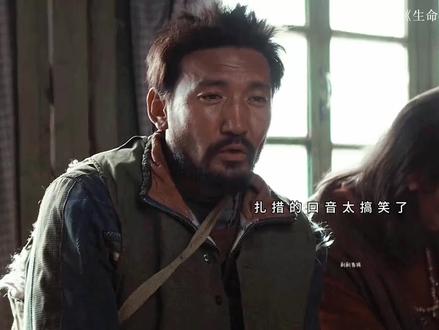 生命树人均搞笑程度1000+#生命树