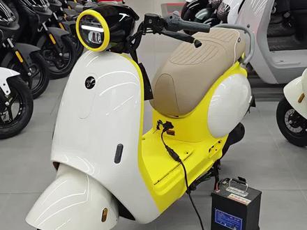 九号又双叒叕上新品了 QL85c 小Q迎来了它的行政加长版 这次升级非常多不价位也是很有诚意#九号电动 #九号QL85c #九号新品 #蔡徐坤