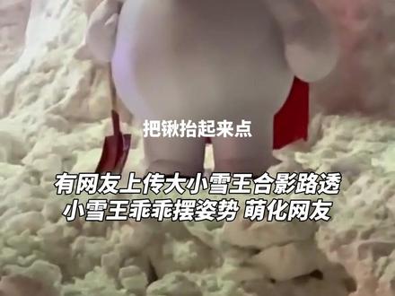 #雪王在哈尔滨使出了武魂真身 【哈尔滨超大雪王雪雕将完工 #雪王带铲子自己挖自己 】