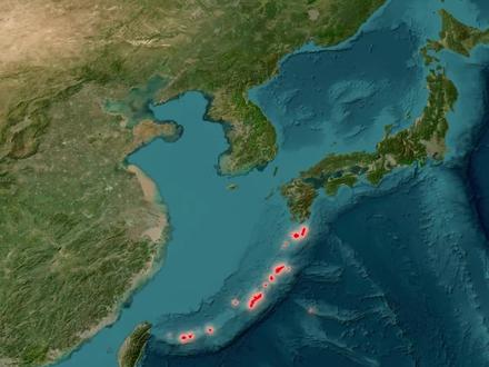 这里叫琉球,不是冲绳!#琉球群岛 #地理 #历史 #地理科普