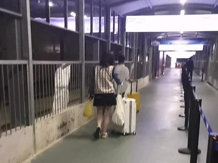 第一次从珠海九洲港坐船回深圳