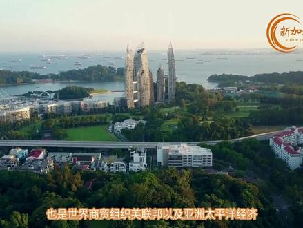 一分钟了解新加坡#新加坡 #看世界 #知识分享 #新加坡留学 #热点小助手 #热点60秒