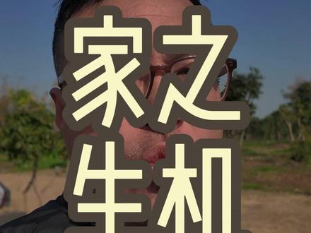 家里面是需要有生机的。 #生机勃勃 #家庭 #生活 #玄学