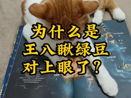 除了绿豆,王八眼中容不下别的豆豆。#知识创作人 #知识分享