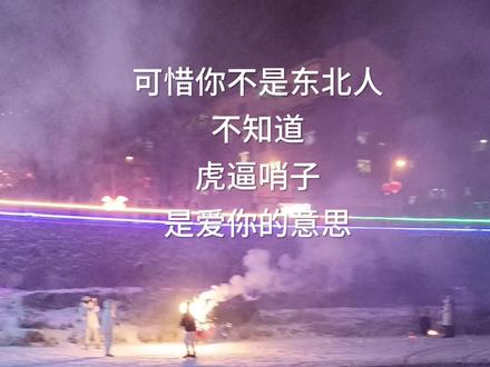 可惜你不是东北人#东北 #东北话