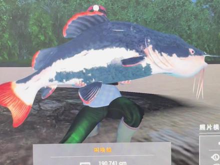 #steam游戏 #垂钓星球 玻利维亚鱼怪,叫唤鲶解锁!
