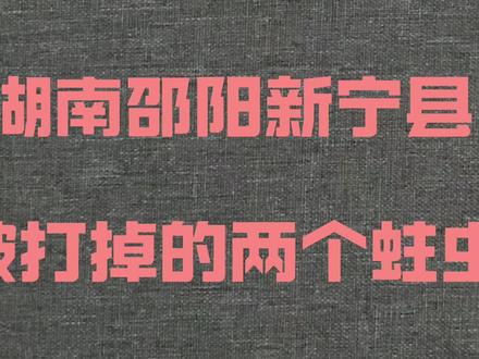 湖南省各县市区被打掉的苍蝇蛀虫。#反腐倡廉 #湖南dou知道 #邵阳市新宁县