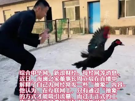 海澜之家董事长称搞抽象才有流量
#海澜之家 #抽象