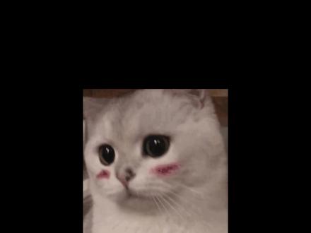 🔥一口气看完春节热门Lolita上新!#吃我一波lolita安利 #lolita上新点评 #lolita春节再贩 #Lolita安利 #lo娘日常