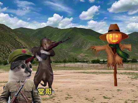 最后一张全家福#曹刚 #先烈 #英雄 #猫meme