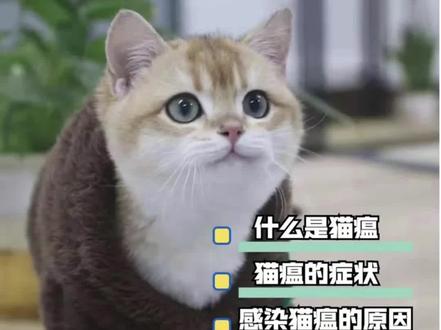 猫瘟不要怕,如何正确面对猫瘟?
猫瘟又称猫泛白细胞减少症,猫传染性肠炎,是猫的一种急性高度接触性传染病
【猫瘟的症状】猫瘟的潜伏期通常为2-9天。如果是怀孕母猫传染给生下来的小猫,小猫可能会在2-5周龄出现猫瘟症状。
强调一下:猫瘟发病非常快,不能拖!一日发现疑似,马上送医院!
【感染猫瘟原因】
1.直接接触传播
猫瘟主要是通过粪口传播,携带病毒的猫咪通过粪便排出病毒,其他猫通过各种方式接触到分泌物而感染。健康猫咪碰到了患病猫咪的粪便、尿液、呕吐物,或附着有病毒的任何物体都有很大可能导致猫咪患上猫瘟。健康猫猫和患病猫猫一起玩耍、互相舔毛、共用一个猫粮碗、共饮一碗水、一起吃同一个食物、共用一个猫砂盆等,主要就是通过患病猫和健康猫猫接触后传染病毒。
2.间接接触传播
如果人接触到患有猫瘟的猫,回家后若没有消毒接触健康的猫,也会造成感染。
所以主人最好定时给猫咪的生活环境消毒,平时回去也要洗干净手了再撸猫猫哦
【如何治疗猫瘟】
1.止吐:出现呕吐时应禁食禁水。胃复安注射液
015~0.25毫升每千克体重,每天两次,肌肉或皮下注射
2.消炎:庆大霉素1万单位每千克体重或卡那霉素
5~10万单位每千克体重,每天两次,肌肉或皮下注射
3.解热:柴胡注射液03毫升每千克体重,每天两次。止血:维生素K3注射液03毫升每千克体重,每天两次,肌肉注射
4 .补液:出现脱水或呕吐时,25%葡萄糖5~10毫升、5%碳酸氢钠5毫升、复方生理盐水30~50毫升,混合静脉注射
5.食疗:建议饲喂少量易消化、低纤维,含脂肪少的食物,每天3~6次。也可以使用针对急性胃肠炎疾病的处方食品。在数天内逐渐增加食物量,以满足动物需要
【如何预防猫瘟】
1.接种疫苗
通过疫苗注射的方式,让猫咪尽快建立有效的免疫保护
2.环境预防
肮脏、潮湿、噪音大、高压的环境最容易爆发猫瘟,这就是为什么猫舍和流浪猫救助站更需要额外注意环境的清洁与消毒
3.提高抗病能力
猫瘟病毒破坏的是猫咪的免疫系统,如果平时能通过饮食调理来提高猫咪的免疫,让猫咪的免疫系统更强大一些,一来较不容易感染猫瘟,二来,即便不小心感染了猫瘟,也更容易治疗成功#新手养猫 #猫猫生病 #养猫经验分享