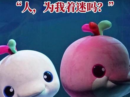 大湾鸡春节新意不断,“人,为我着迷吗?”#大湾鸡 #萌动奇迹