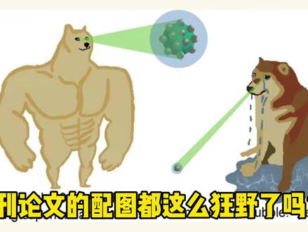 现在顶刊SCI论文配图都这么狂野了吗?#SCI #论文 #研究生 #校园 #沙雕日常