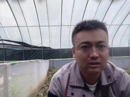 养蟾蜍多种盈利模式,蟾衣蟾酥,和活体#蟾蜍 #中药材 #三农 #农村 #干货分享