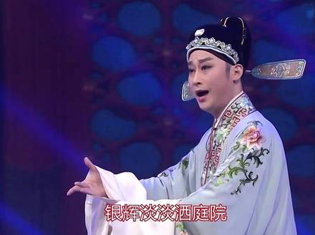 黄梅戏 《陈州怨》选段:一弯新月挂半天