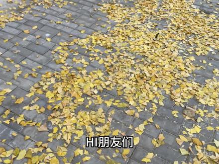 新手买全画幅还是半画幅?来听一下我的经验分享! #我看到的vs我拍到的 #摄影器材 #相机推荐 #微单#第一视角拍摄