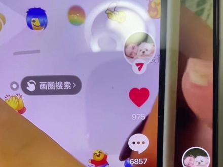 汪汪队的你有吗
快来学吧#解锁抖音新表情包 #汪汪队集合啦 #万能表情包