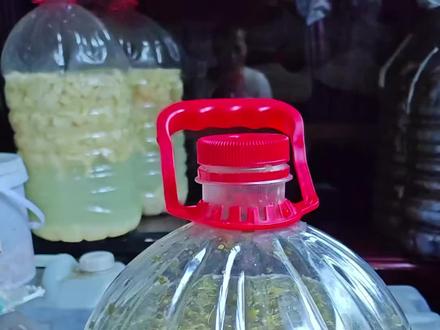 #酵素
#小谢姐
统一回复,做酵素是用生水+糖+材料发酵。不沾油,不煮。加糖的目的是给菌种提供能量,有蜂蜜用蜂蜜,有红糖用红糖,有白糖冰糖黄糖一样也是可以用的。
发酵会经过排气阶段,材料经过微生物分解会产生大量气体,做酵素必须留发酵空间,注意排气。排气看方法,开盖,虚掩盖子排气,一般需要一个星期左右就能排出大量气体。
只要前期大量气体排出,盖子就能拧紧了,再隔几天观察瓶子,有气松盖子排气,这个阶段注意密封。酵素后期需要密封起来发酵,厌氧发酵。
所以你的瓶子建议是带盖子的。
瓶子容量大点的。
很多草本,就是瓜果蔬菜花草根,只要无毒不腐烂不沾油都可以做酵素。
酵素是时间的产物。
酵素发酵时间足够都是好的,我们需要酵素的活性。后期使用酵素也是常温,不煮。
酵素有活性,可以改善很多皮肤,毛发的毛病。
具体看我置顶第一个视频和第三个视频。
有耐心就能做好酵素,加油!